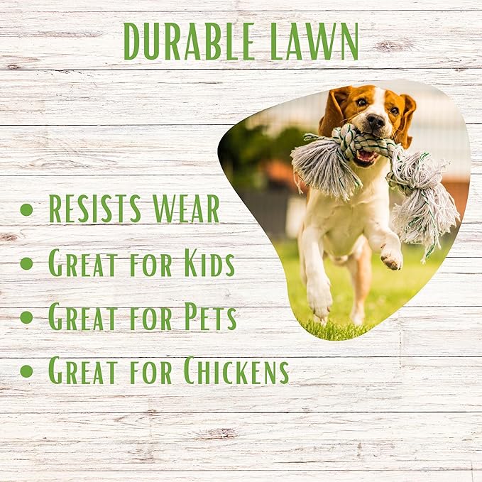 Ruff and Tuff Mow Less Fescue Grass Seed (Fescue Grass Seed, 1000 sq ft Shaker)