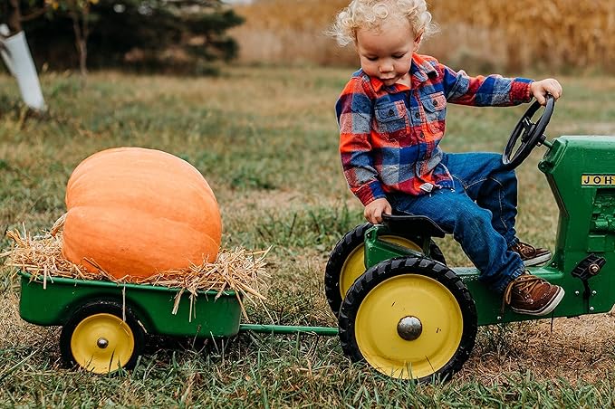 Atlantic Giant Pumpkin - 15 Seeds - Heirloom & Open-Pollinated Variety, Non-GMO Vegetable Seeds for Planting Outdoors in The Home Garden, Thresh Seed Company