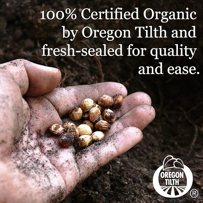 7 Leafy Power Green Organic Varieties – Non-GMO Heirloom Seeds for Planting: Spinach, Arugula, Kale, Lolla Rossa Lettuce, Buttercrunch, Gourmet Lettuce Mix, Swiss Chard
