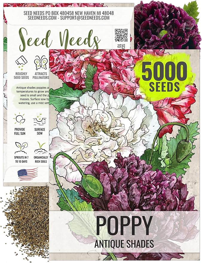 Seed Needs Antique Shades Peony Poppy Seeds for Planting - Heirloom & Open Pollinated Annual Flowers - Grow a Butterfly Garden for Pollinators (1 Pack)