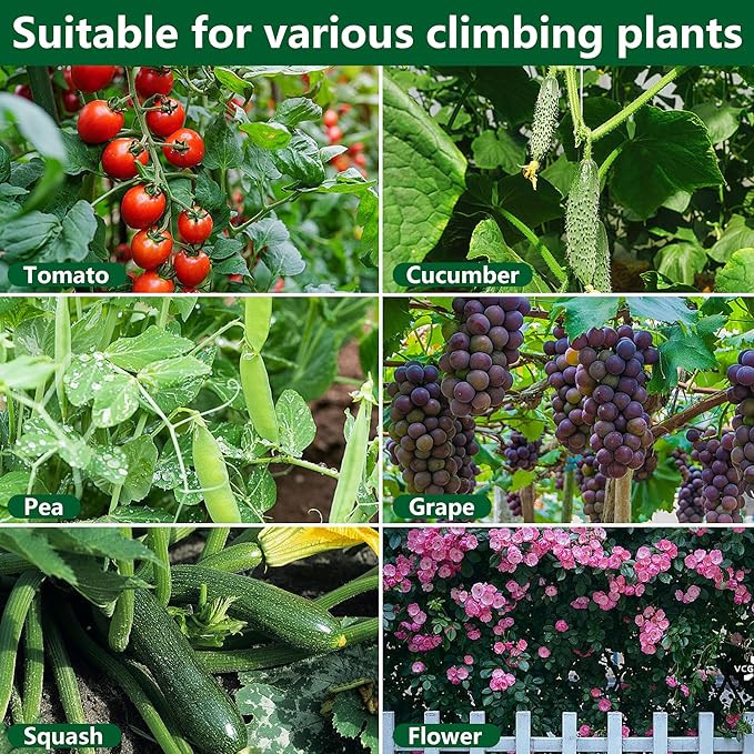 codree Garden Cucumber Trellis for Plant -47x 47 Inch Metal Arch Melon Trellis for Raised Bed -Foldable Tunnel Trellis with Climbing Net Clips for Growing Vine Vegetable