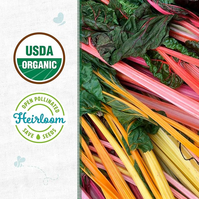 Back to The Roots 100% Organic Seed Packet - Swiss Chard 'Rainbow Mix' 210mg