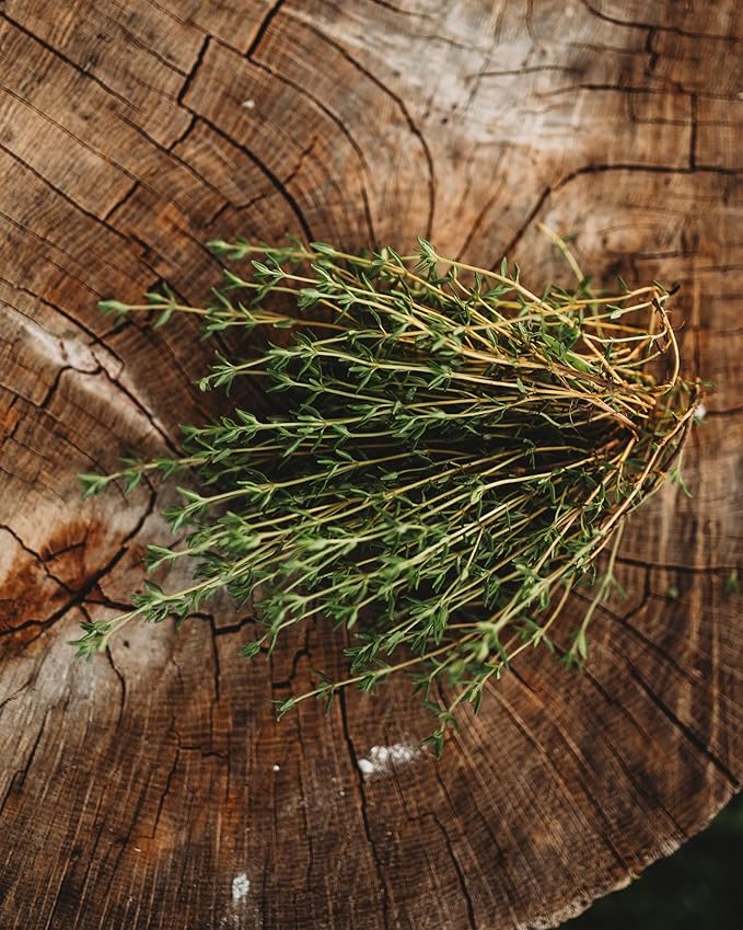 Thyme - 250 Seeds - Heirloom & Open-Pollinated Variety, Non-GMO Culinary Herb Seeds for Planting, Grow Kitchen Herbs Indoors/Outdoors in Containers/aerogarden/Home Garden, Thresh Seed Company