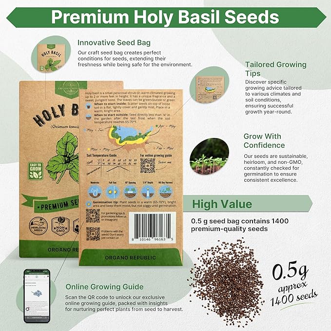 Organo Republic Holy Basil Seeds Pack 0.5 G - Over 1,400 Non-GMO Heirloom Basil Seeds for Planting Herbs in Individual Seed Packet, Herbs Seeds for Planting Home Garden Indoor & Outdoor Gardening