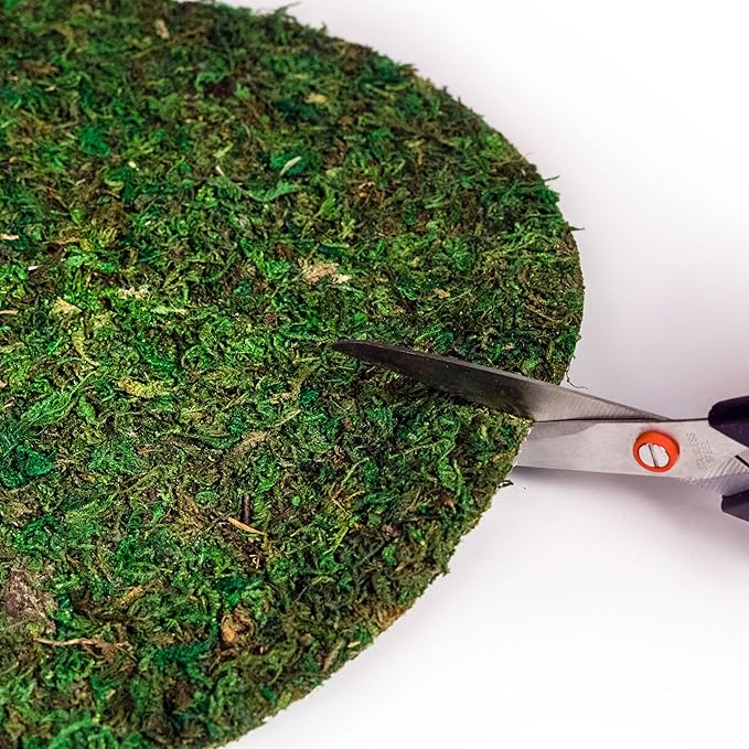 SuperMoss (26325) Moss Soil Toppers (Place Mats), Fresh Green, 16" (3 units)
