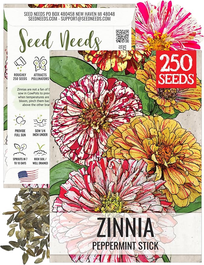 Seed Needs Peppermint Stick Zinnia Seeds for Planting Bi-Colored Zinnias - Heirloom & Open Pollinated Annual Cut Flowers - Perfect to Attract Pollinators to a Butterfly Garden (1 Pack)