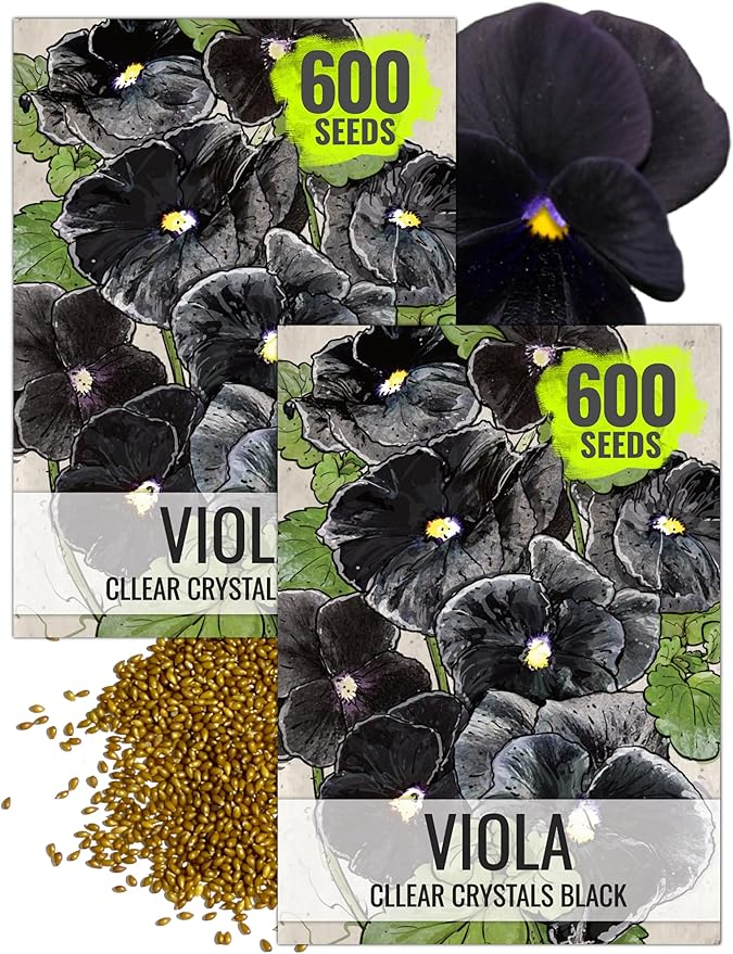 Seed Needs, Clear Crystals Black Pansy Seeds - 600 Heirloom Seeds for Planting Viola x wittrockiana - Deep Burgundy/Black Blooms, Edible Flowers (2 Packs)