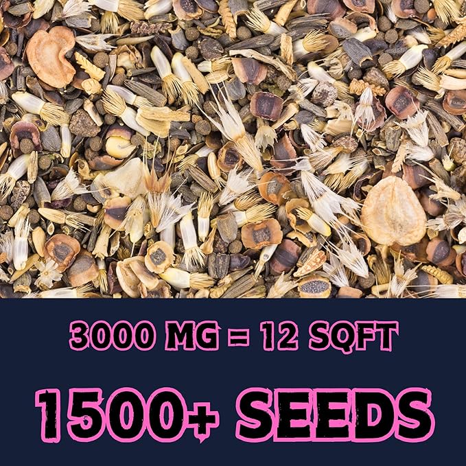 Hummingbird Wildflower Mix (Seed Packet) Sprinkle a Little Magic—Our Shade, Perennial, Hummingbird, Deer-Resistant, and Other mixes Bring Vibrant Color and pollinator Joy to Any Space.