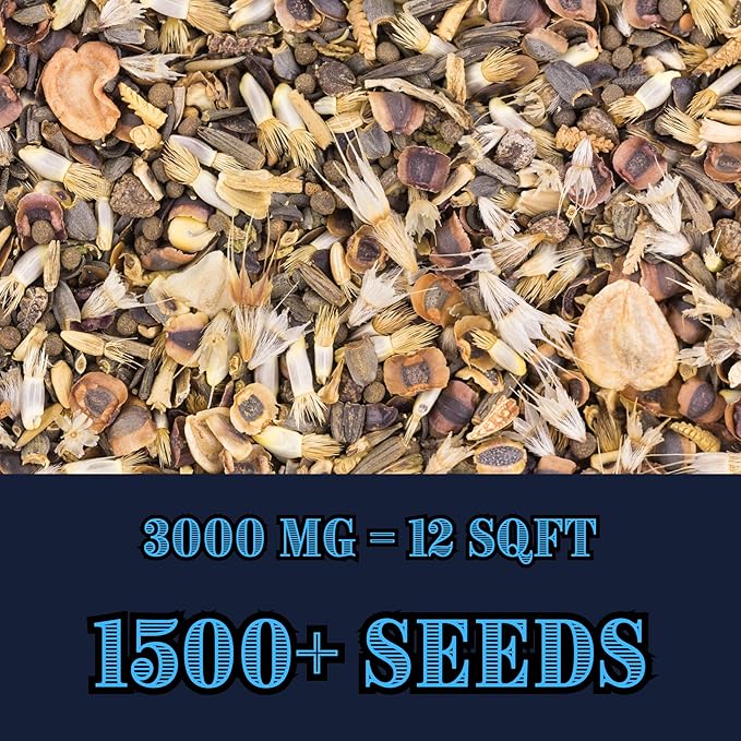 Native Prairie Wildflower Mix (Seed Packet) Sprinkle a Little Magic—Our Shade, Perennial, Hummingbird, Deer-Resistant, and Other mixes Bring Vibrant Color and pollinator Joy to Any Space.