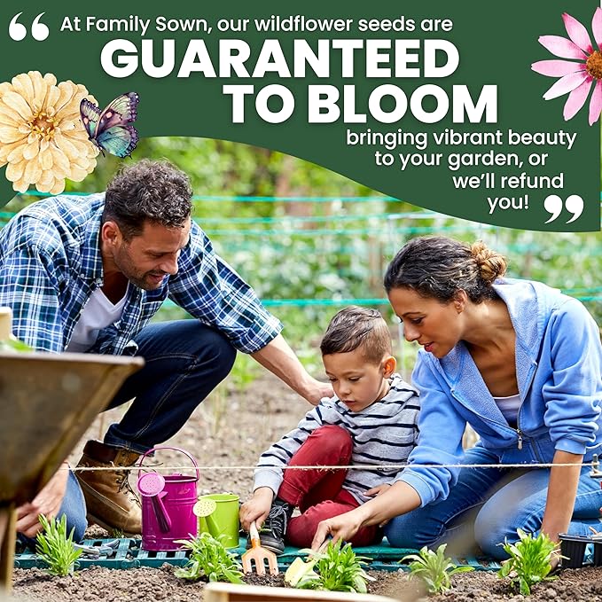 Nasturtium majus - Bulk 1/4 Pound Pouch - 900 Flower Seeds for Planting - Tropaeolum majus