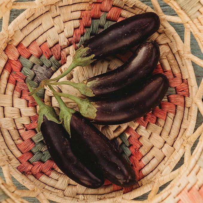 Little Fingers Eggplant - 50 Seeds - Heirloom & Open-Pollinated Variety, Non-GMO Vegetable Seeds for Planting Indoors or Outdoors in Containers or The Home Garden, Thresh Seed Company