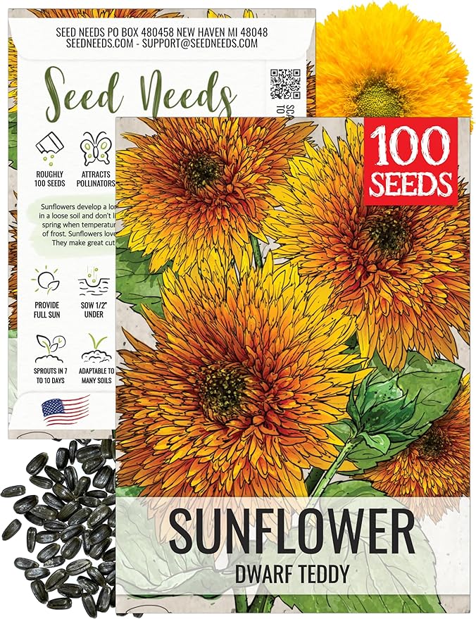Seed Needs Sunflower Seeds for Planting Dwarf Teddy/Dwarf Sungold Sunflowers - Heirloom & Open Pollinated Flower Seed to Plant a Butterfly Garden (1 Pack)