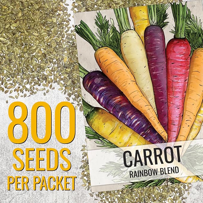 Seed Needs Carrot Seeds for Planting Rainbow Carrots - Non-GMO Heirloom & Untreated Veggie Seed to Grow a Home Grown Vegetable Garden in Fall or Spring (5 Packs (4,000 Seeds))