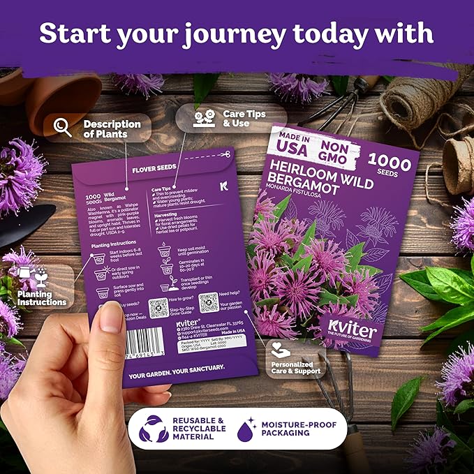 KVITER 2,000 Wild Bergamot Seeds for Planting (Monarda fistulosa), 2 Pack – Bee Balm Native Wildflower, Pollinator Magnet, Organic & Non GMO – Flower Seeds to Plant Outside in Flower/Herb Garden