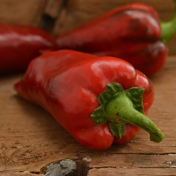 Yalova Yaglik Sweet Frying Pepper - 25 Seeds - Rare Heirloom & Open-Pollinated Variety, USA-Grown, Non-GMO Vegetable Seeds for Planting Outdoors in The Home Garden, Thresh Seed Company
