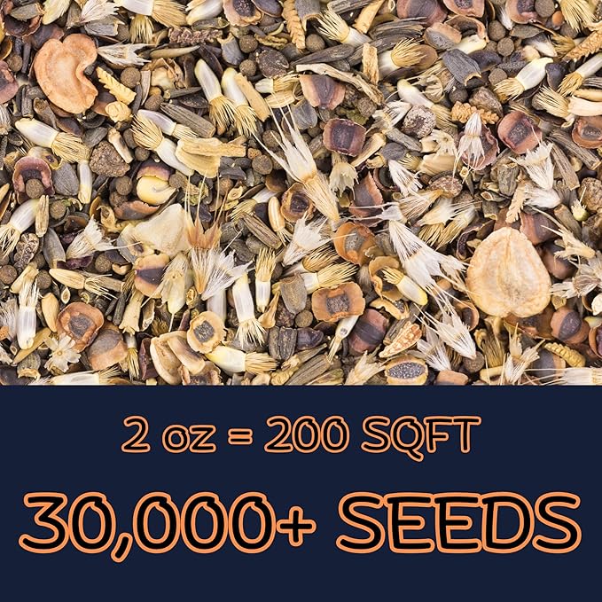 Beneficial Bug Wildflower Mix (2oz) Sprinkle a Little Magic—Our Shade, Perennial, Hummingbird, Deer-Resistant, and Other mixes Bring Vibrant Color and pollinator Joy to Any Space.