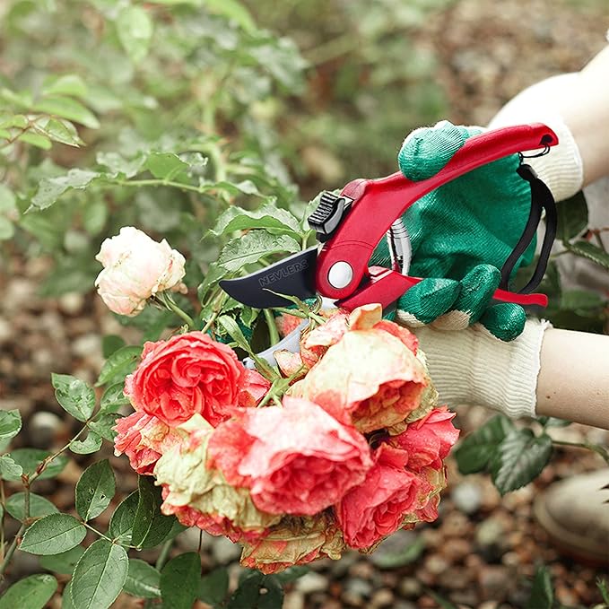 Nevlers 8" Red Bypass Pruning Shears for Gardening | Heavy Duty Garden Shears & Hand Pruners | Stainless Steel Plant Trimmer Blades w/ 8mm Cut Cap | Ergonomic Spring-Assisted Garden Clippers Handheld