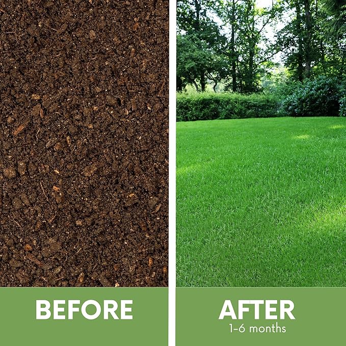 Flawn Seed Kits Ruff and Tuff Mow Less Fescue Grass Seed, 2 lbs, Low Maintenance, Family Friendly, Drought Tolerant, Covers up to 1000 Sqft
