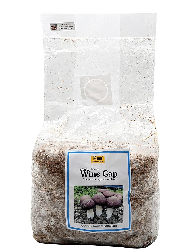 Wine Cap Sawdust Spawn