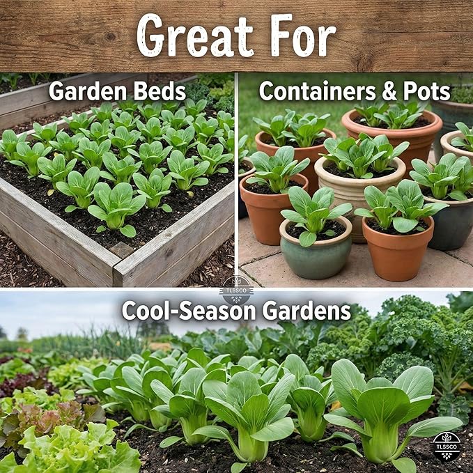 2000+ USA Premium Baby Bok Choy Seeds for Planting, Non-GMO Seeds – Easy to Grow, Low Maintainance, Authentic Flavor – High-Yielding, Heirloom