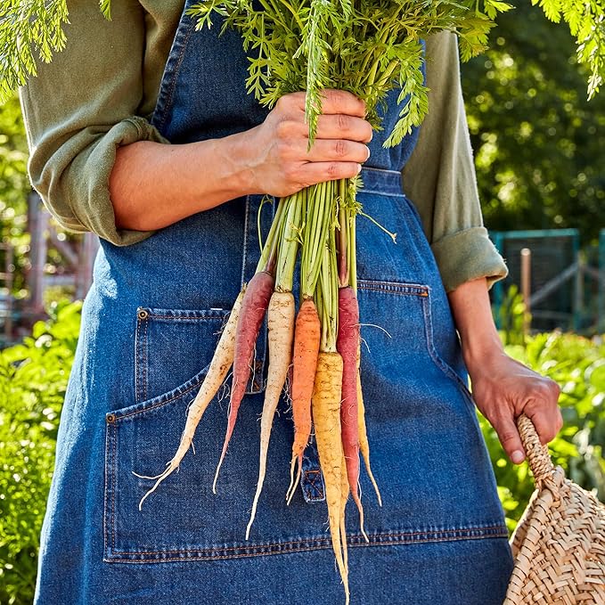 Burpee Kaleidoscope Carrot Blend Seeds - Mixed Colors for Gourmet Dishes
