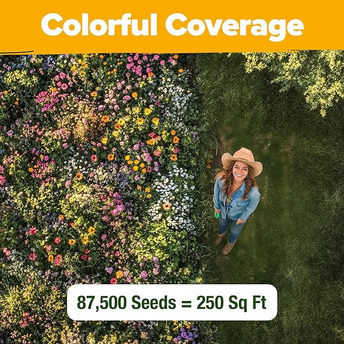 HOME GROWN Texas Wildflower Seeds 87,500+ Non-GMO Perennial Wildflower Seeds Mix for Attracting Bees, Birds & Butterflies - 22 Varieties Bulk Wild Flower Seed Mix for Full Sun & Shade Gardens (2 oz)