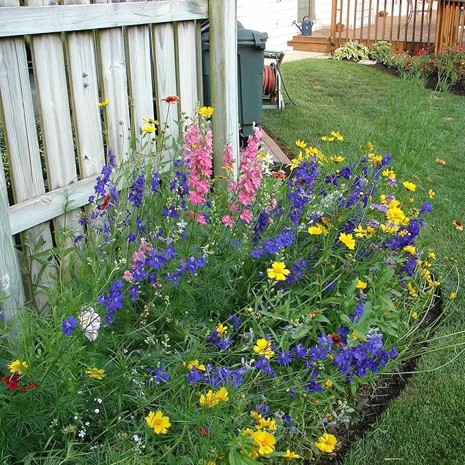 Created By Nature North Carolina Wildflower Seed Mix, 18 Flower Varieties, 35,000 Seeds