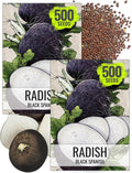Seed Needs Radish Seeds for Planting Black Spanish Radishes - Non-GMO, Heirloom & Untreated - Grow a Home Grown Vegetable Garden - Cool Weather Crops (2 Packs)