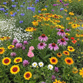 Ferry-Morse Midwest Mix Bulk Wildflower Seeds, 1lb