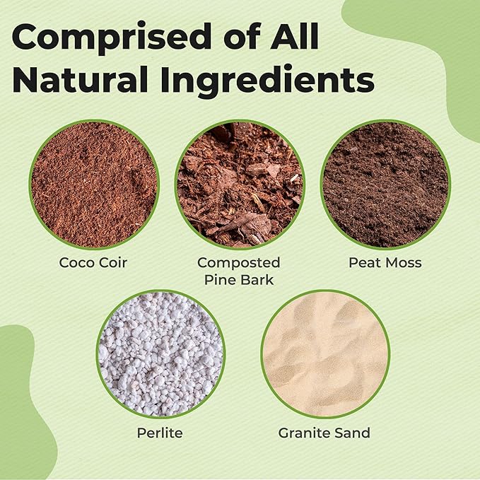 All Natural Christmas Cactus Potting Soil by Perfect Plants | Made in The USA | Christmas Cactus & Other Succulent Varieties | Formulated for Proper Drainage (4qt)