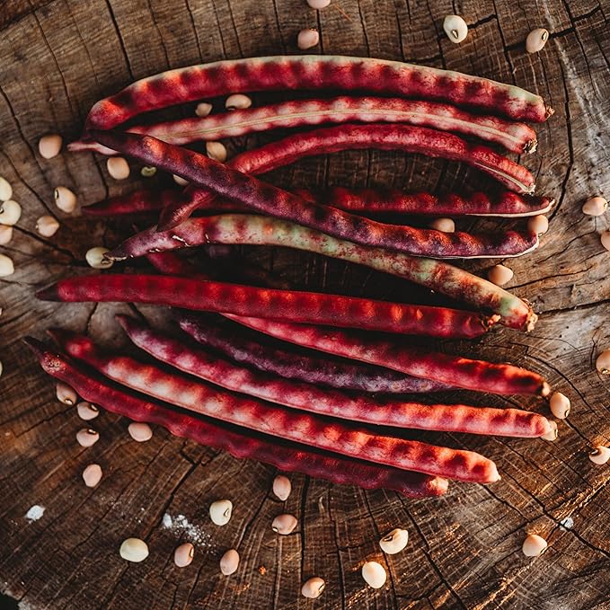 Top Pick Brown Crowder Pea- 4oz Bulk (~640 Seeds) - Heirloom & Open-Pollinated Variety, USA-Grown, Non-GMO Cowpea Seeds for Planting Outdoors in The Home Garden, Thresh Seed Company