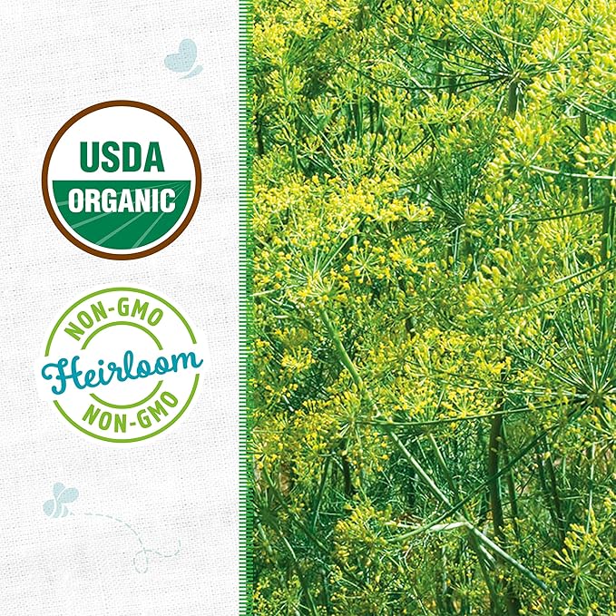 Back to The Roots 100% Organic Seed Packet - Dill 'Mammoth' 1g
