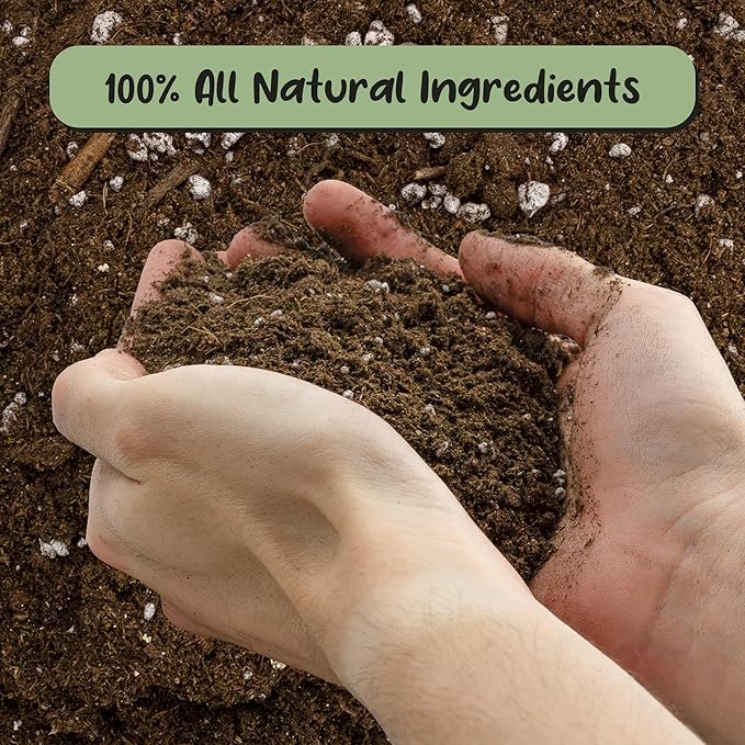 Soil Sunrise Lucky Bamboo Plant Potting Mix (4 Quarts) Custom Soil Mix for Repotting