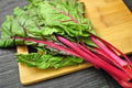 Ruby Red Swiss Chard Seeds 25 Count, COOL BEANS N SPROUTS Brand. Heirloom. Non-GMO. Home Gardening.