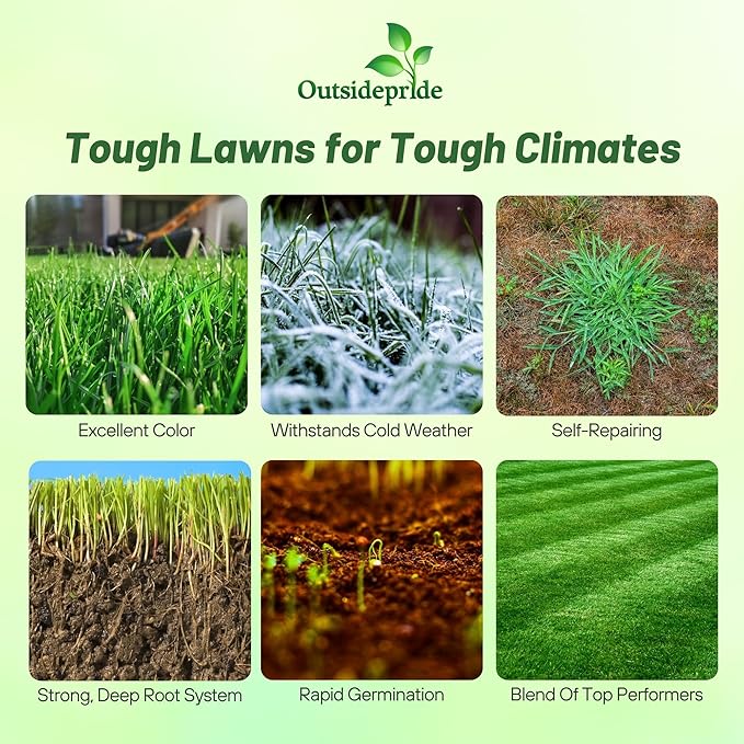 Outsidepride Combat Extreme Northern Zone - 5 Lbs Cold-Hardy, Drought-Resistant Turf Type Tall Fescue & Kentucky Bluegrass Lawn Grass Seed Blend, OptiGrowth Coated for Better Establishment