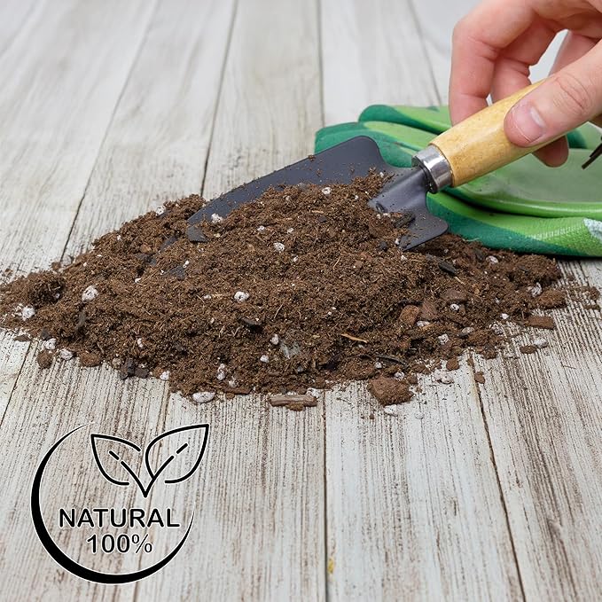 Soil Sunrise Anthurium Plant Potting Soil Mix (8 Quarts) Indoor Houseplant Custom Blend for Flowering Anthuriums