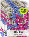 Seed Needs, Cascade Mixture Lobelia Seeds - 5,000 Heirloom Seeds for Planting Lobelia pendula - Colorful Flowers Great for Hanging Baskets, Pots & Containers (5 Packs)