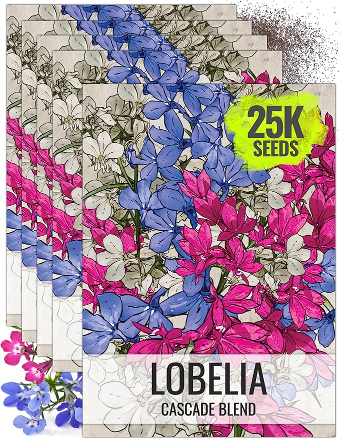 Seed Needs, Cascade Mixture Lobelia Seeds - 5,000 Heirloom Seeds for Planting Lobelia pendula - Colorful Flowers Great for Hanging Baskets, Pots & Containers (5 Packs)