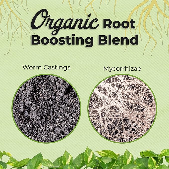 Organic Aroid Potting Mix by Perfect Plants | Chunky Gardening Medium for Tropical Indoor House Plants | Peat Free | Proper Drainage (8qt)