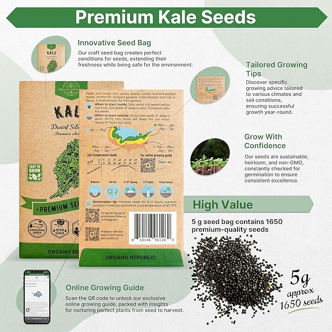 Organo Republic Kale Dwarf Siberian Seeds Pack 5 G - Over 1,650 Non-GMO Heirloom Kale Seeds for Planting Greens in Individual Seed Packet, Greens Seeds for Planting Home Garden Indoor & Outdoor