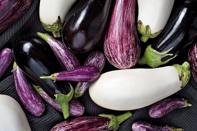 Seeds Eggplant Aubergine Long Mix Heirloom Vegetable for Planting Non GMO