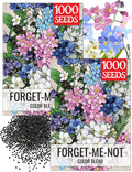 Seed Needs Forget Me Not Seeds for Planting Mixed Flowers - Heirloom & Open Pollinated Wild Flower Seed to Plant an Outdoor Butterfly Garden to Attract Pollinators (2 Packs)