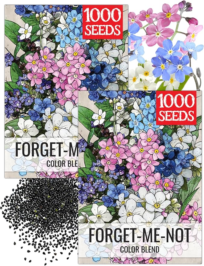 Seed Needs Forget Me Not Seeds for Planting Mixed Flowers - Heirloom & Open Pollinated Wild Flower Seed to Plant an Outdoor Butterfly Garden to Attract Pollinators (2 Packs)