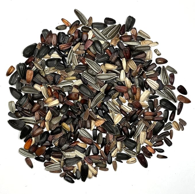 Seed Needs Sunflower Seeds to Plant Sunset Blend 7 Varieties Mix | 1000+ Seeds Helianthus Annuus Heirloom Open Pollinated Bulk Flower Seed | Multicolored Sun Flowers