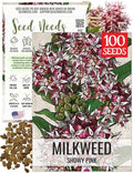 Seed Needs Showy Milkweed Seeds for Planting - Untreated & Open Pollinated, Attracts Monarch Butterflies in a Butterfly Garden (1 Pack)