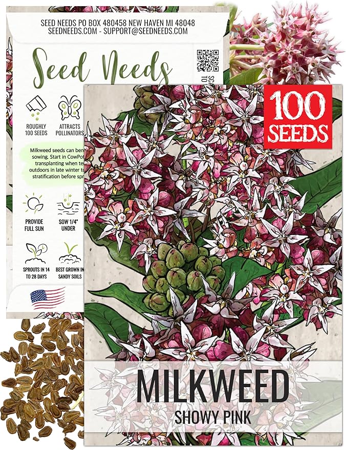 Seed Needs Showy Milkweed Seeds for Planting - Untreated & Open Pollinated, Attracts Monarch Butterflies in a Butterfly Garden (1 Pack)