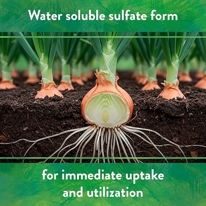 Down To Earth All Natural Fertilizers Organic Solution Grade Potassium Sulfate - Professional Grade SOP Powder 200 mesh for Liquid or Spray Applications 0-0-50, 1 lb