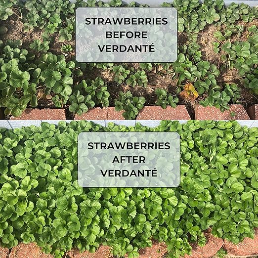 VERDANTÉ Complete Plant Care Liquid Soil Conditioner – Improve Lawn & Garden Health - Versatile Soil Conditioner for Lawns & Gardens - Simple Lawn and Garden Solutions - 2 Qt.