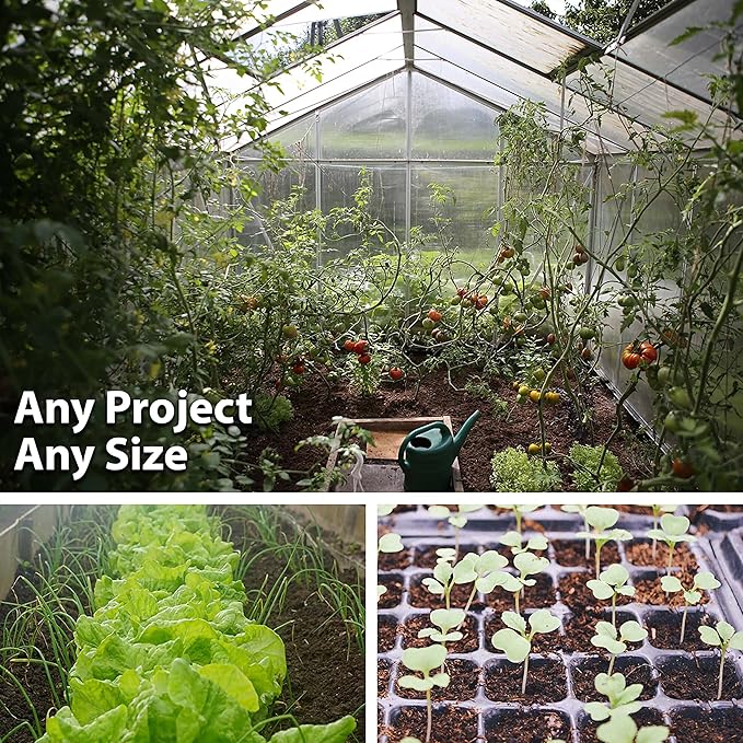 Grande Rio Verde Tomatillo Seeds – 1 Oz (~10,000 Seeds) – Non-GMO, Heirloom, Productive Green Tomatillo Variety – Ideal for Salsa, Sauces, and Home Vegetable Gardens