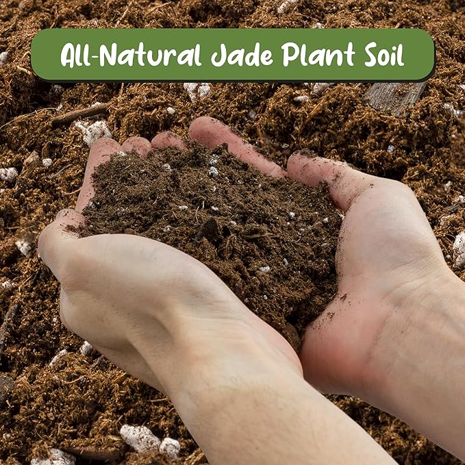 Soil Sunrise Jade Plant Potting Soil Mix (8 Quarts) Hand Blended Additive for Jade Succulents